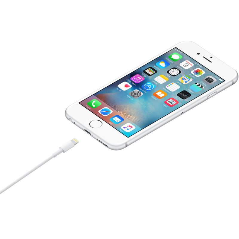 iPhone 1m Lightning to USB Cable
