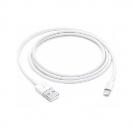 iPhone 1m Lightning to USB Cable